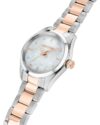 Ρολόι SECTOR 270 Two Tone Stainless Steel Bracelet - Image 2