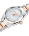 Ρολόι SECTOR 270 Two Tone Stainless Steel Bracelet - Image 4